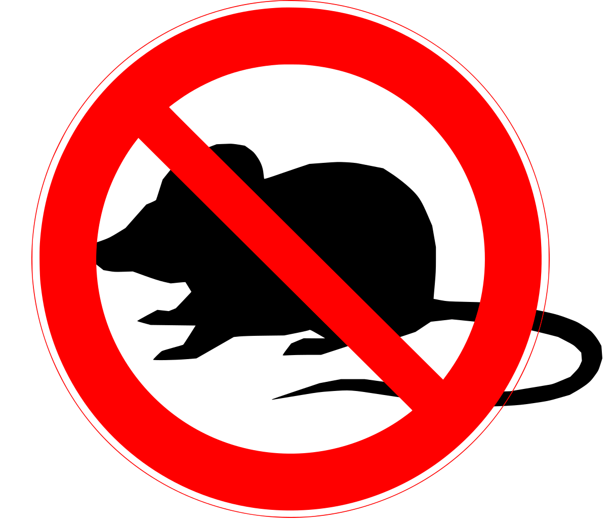 Image Title My Image