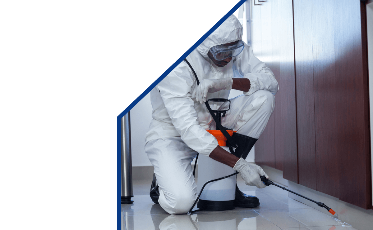 Image Title My Image